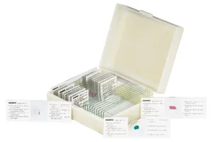 Набор микропрепаратов Konus 10: «Рыбы, лягушки и другие земноводные», изображение 2