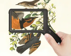 Лупа цифровая Levenhuk ERGO 40 PRO, изображение 2