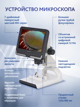 Микроскоп цифровой Levenhuk Rainbow DM700 LCD, изображение 21