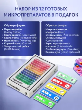 Микроскоп цифровой Levenhuk Rainbow DM700 LCD, изображение 20