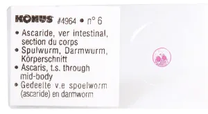 Набор микропрепаратов Konus 10: «Биология» (часть 2), изображение 3