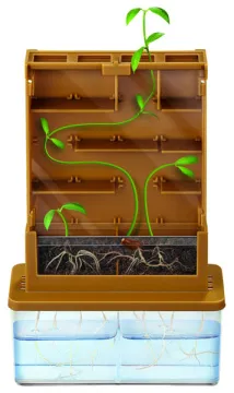 Набор 4M 00-03352 «Умные растения», изображение 2