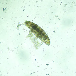 Микроскоп биологический инвертированный MAGUS Bio V300, изображение 13